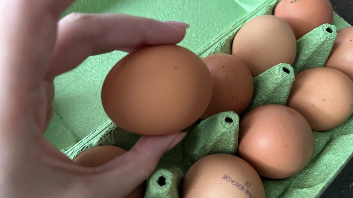 Чем белые яйца отличаются от коричневых: жарил, варил, взбивал и вот честный ответ - вся разница в деталях