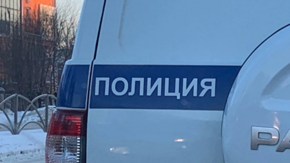 Пензенцу грозит тюрьма за ложное сообщение о бомбе на Нововоронежской атомной станции