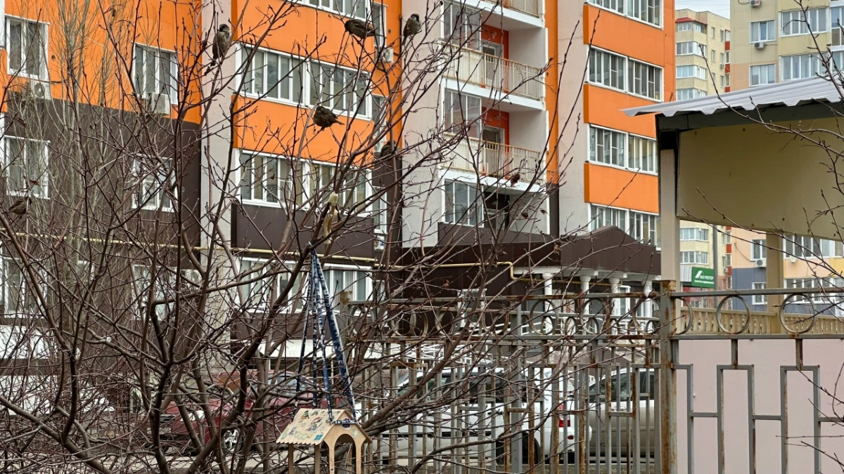 На днях в Пензе потеплеет до +17 градусов