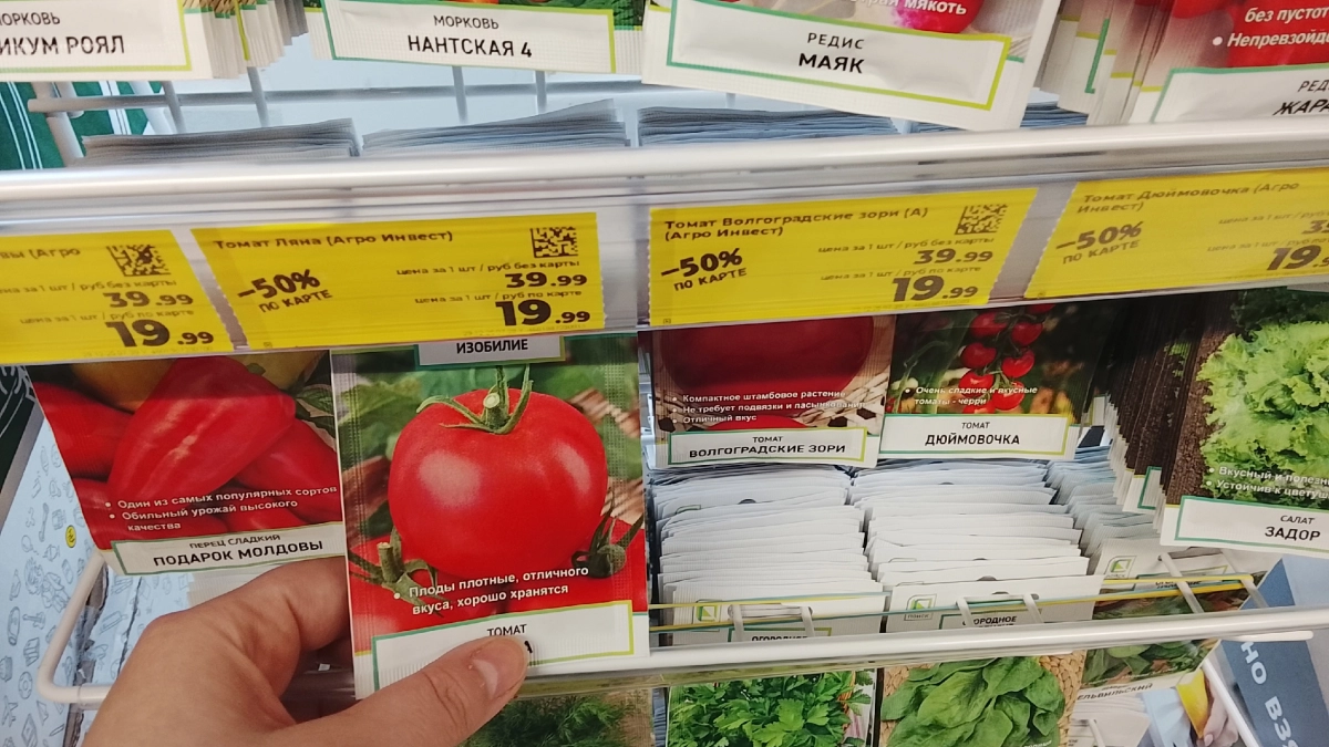 Подвожу «Рассадный» итог 2026 года: какие 6 сортов мне сильно понравились, и почему я их больше не посажу - честный отзыв