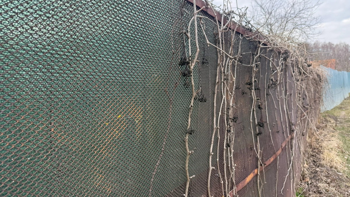 Забор из профлиста больше не в моде - умные хозяева уже пользуются новой идей: и красиво, и вид "небюджетный"