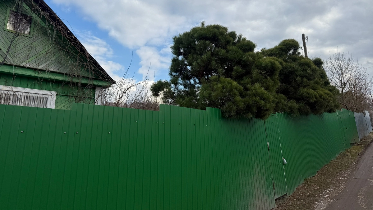 Сосед сдвинул забор на метр, "подарив" мне кусок своего участка: в марте я понял его хитрость - теперь не знаю, как решить проблему