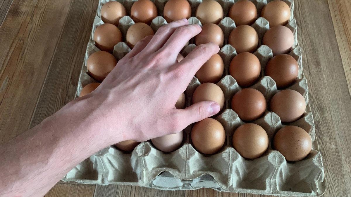 На Пасху никогда не покупаю яйца СО — знакомая с птицефабрики призналась: вот что с ними не так