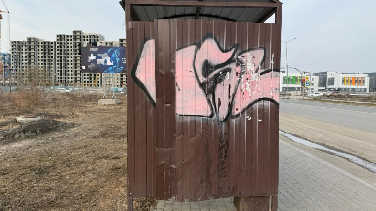 Дырявая остановка на ул. Алой мозолит жителям Засечного глаза