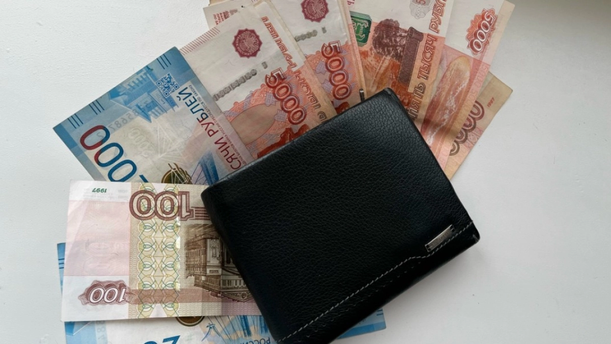 В Пензенской области возбуждено дело о преднамеренном банкротстве на более 95 млн рублей