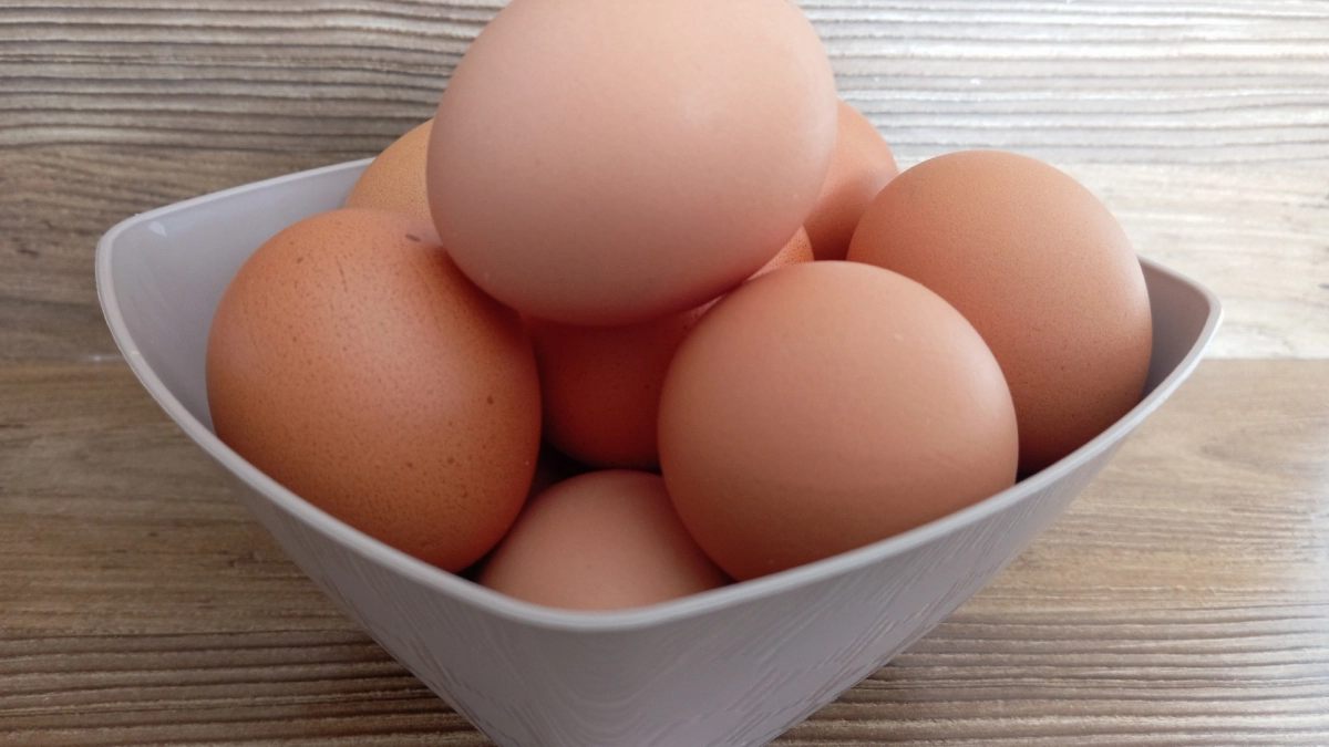 Куриные яйца не покупаю уже 12 месяцев: от этих 9 продуктов рекомендуют отказаться ученые. А мы их едим каждый день и даже детям даем