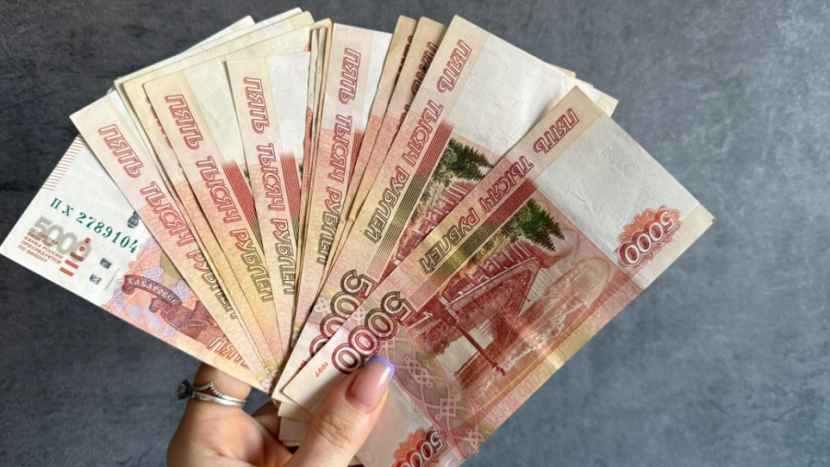 Лженалоговики лишили пензенца 800 тыс. рублей