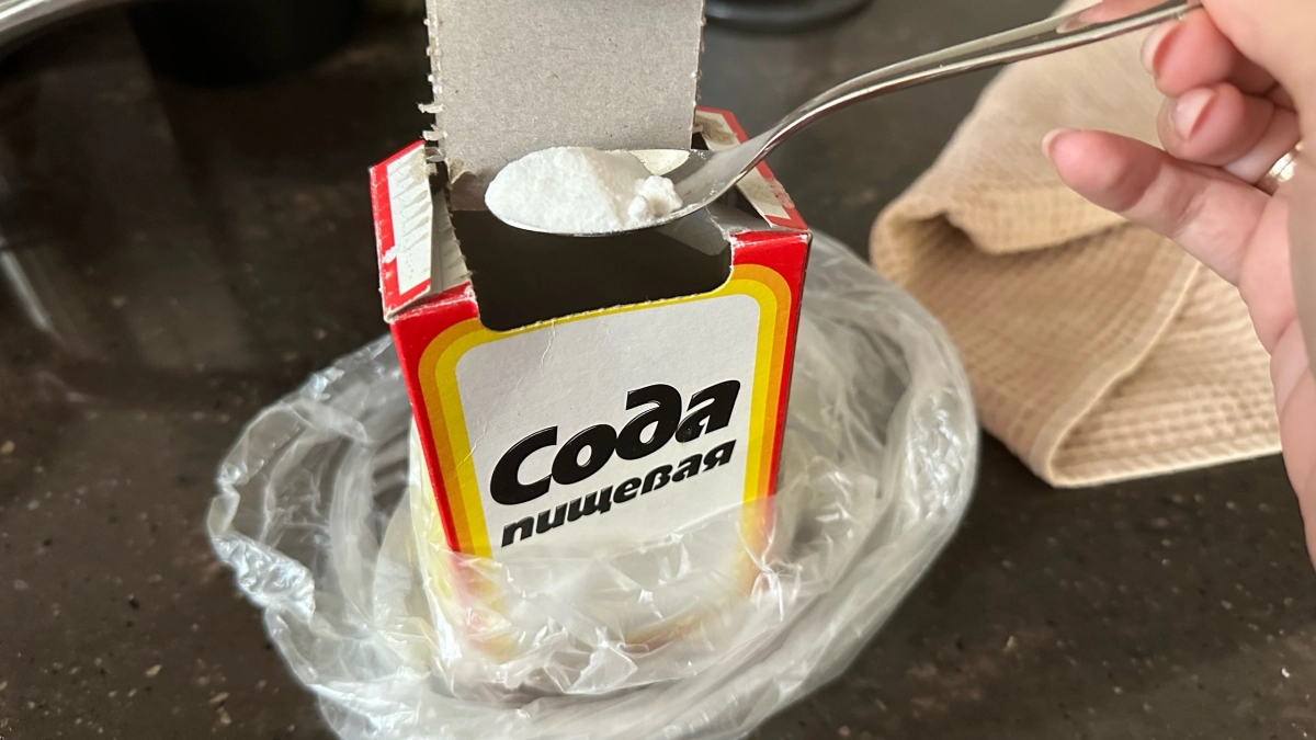 Как только сходит снег, покупаю 3 пачки соды — и не мучаюсь, как соседи: на участке благодать всю весну