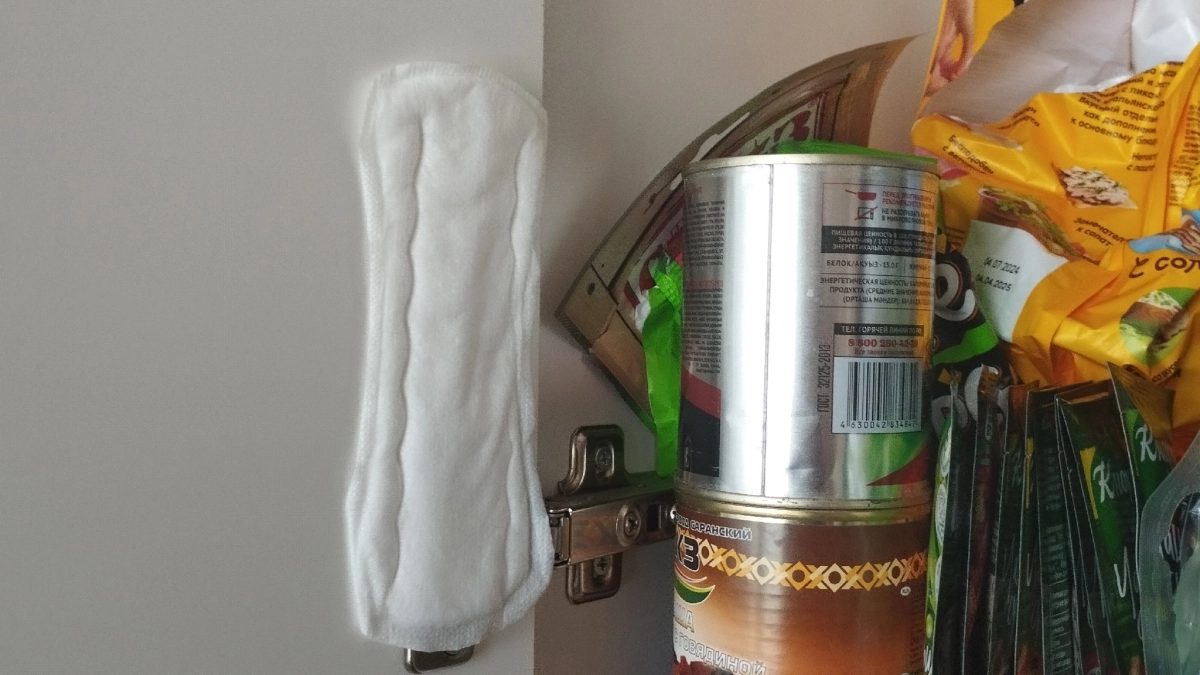 Положила прокладку в шкаф с крупами. Не для запаха - трюк избавил от надоевшей проблемы