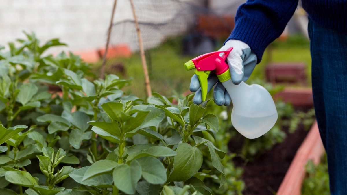 1 ст. ложка копеечного средства и тли как не бывало, даже покупать ничего не нужно