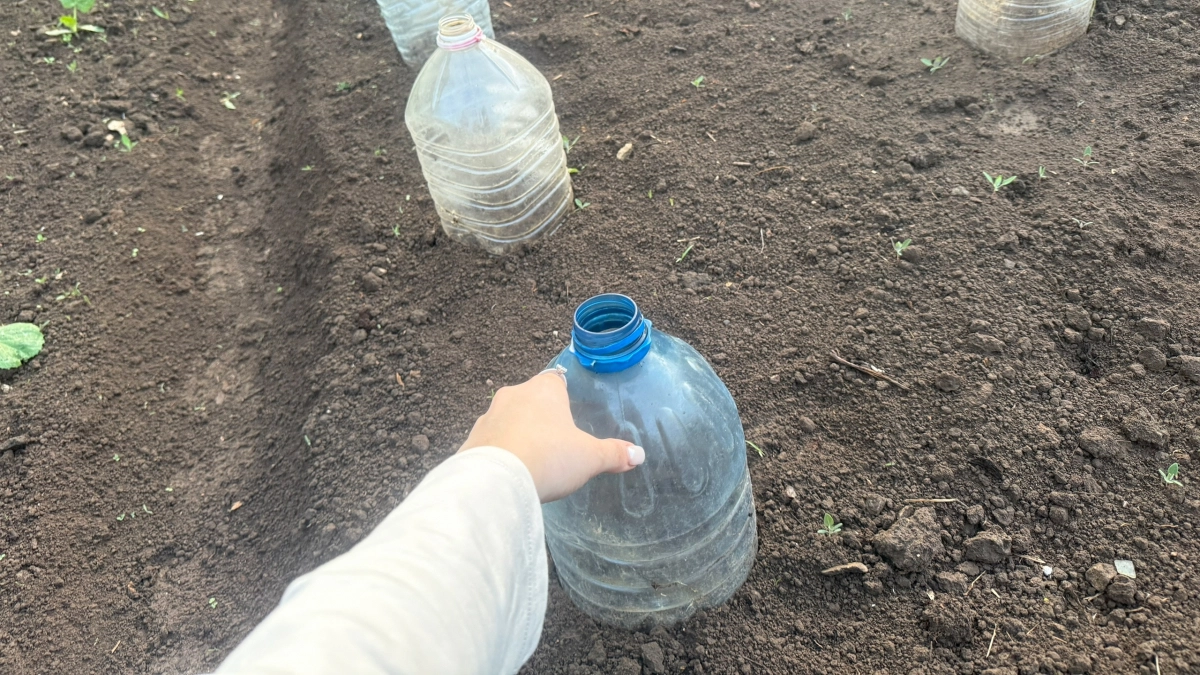 Упрощают жизнь на даче и увеличивают урожай: 20 крутых приспособлений своими руками - дешево и хитро для дачников 