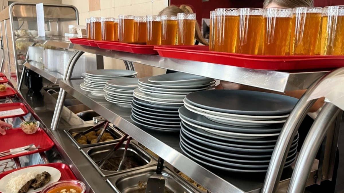 В Пензе поставщик, ответственный за организацию школьного питания, признан недобросовестным