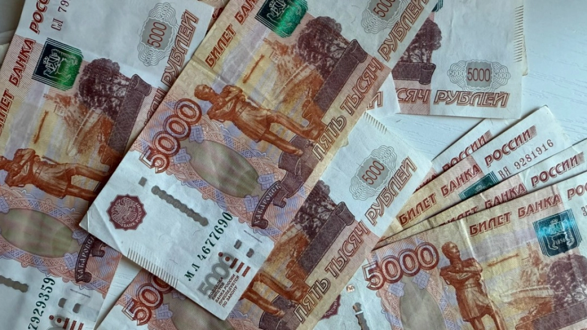 Пензенец, решив купить крупную партию овощей в Интернете, потерял около 1 млн рублей