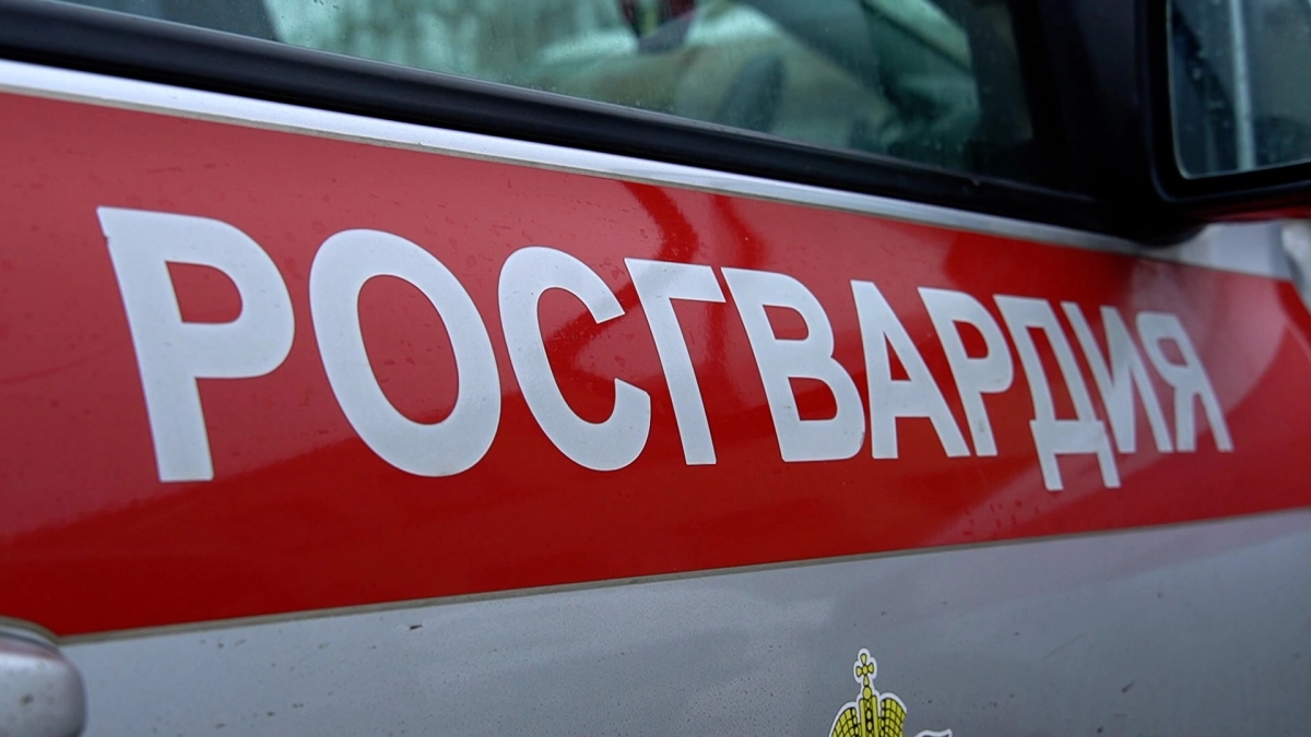 В Пензе пять иностранцев будут депортированы за пределы России