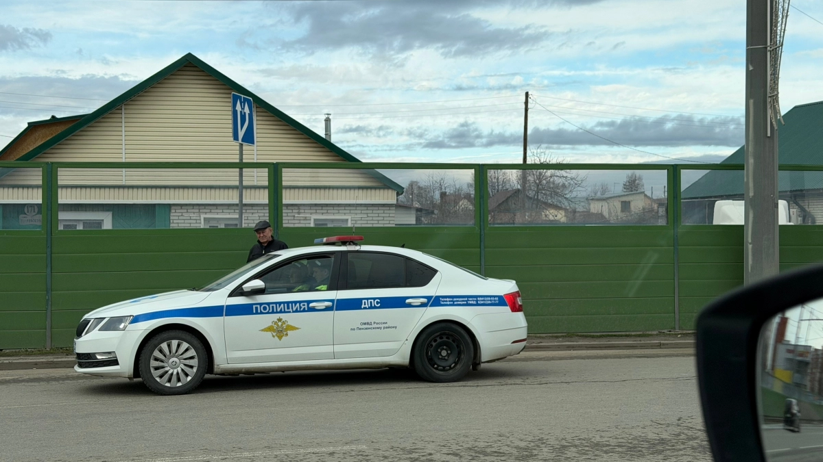 87% водителей не знают, что писать в протоколе: 5 главных фраз - помогут не лишиться прав и грамотно перестраховаться