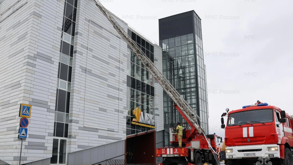 В Пензенской области не забыли о дне рождения пожарной лестницы