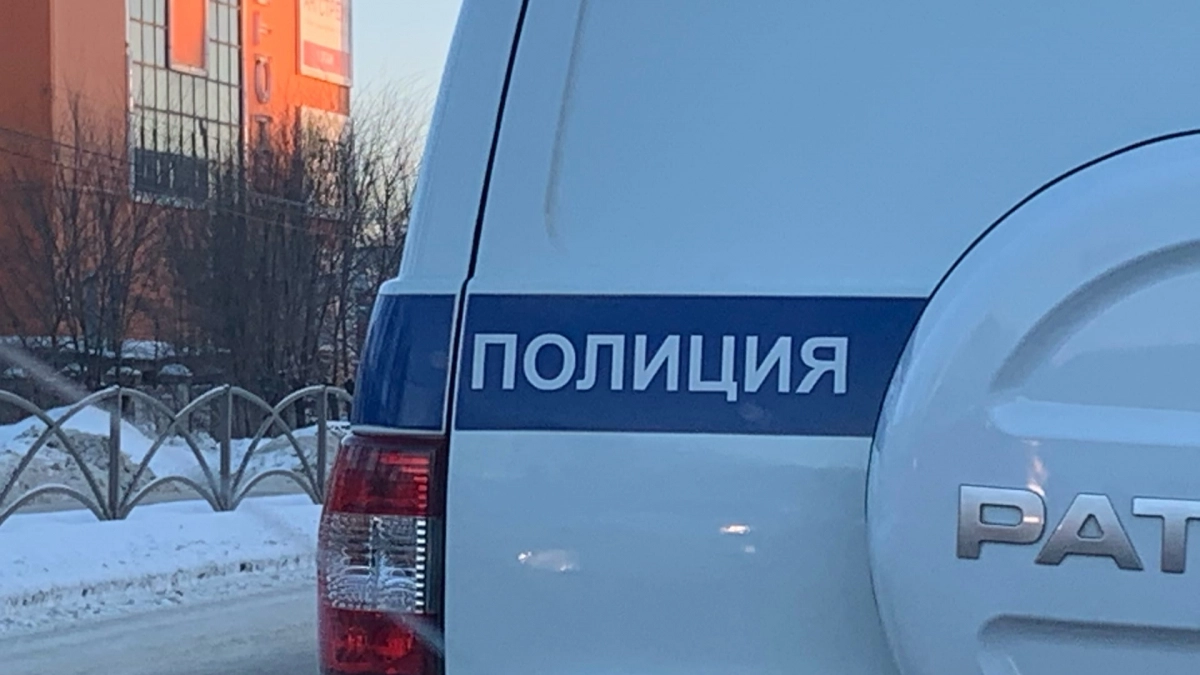 Приехали заработать: жители Мордовии задержаны за серию краж в трех пензенских магазинах