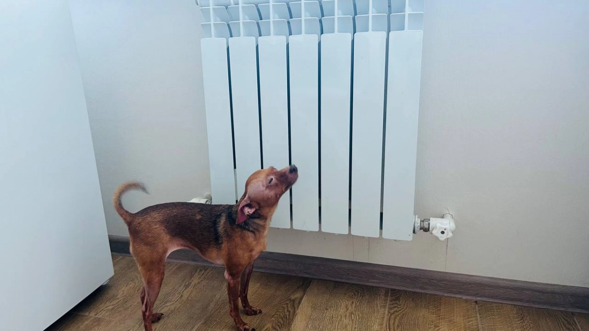 Стало известно, когда отключат отопление в Пензе