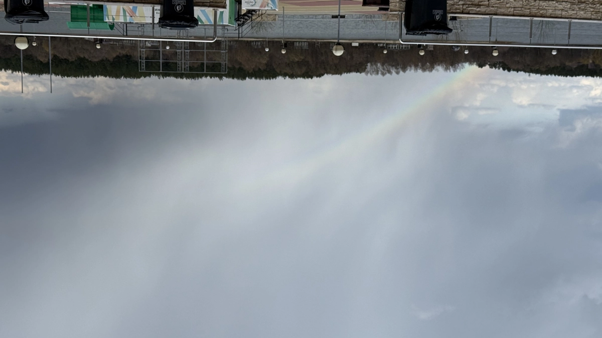 В субботу в области будет дождливо, но тепло