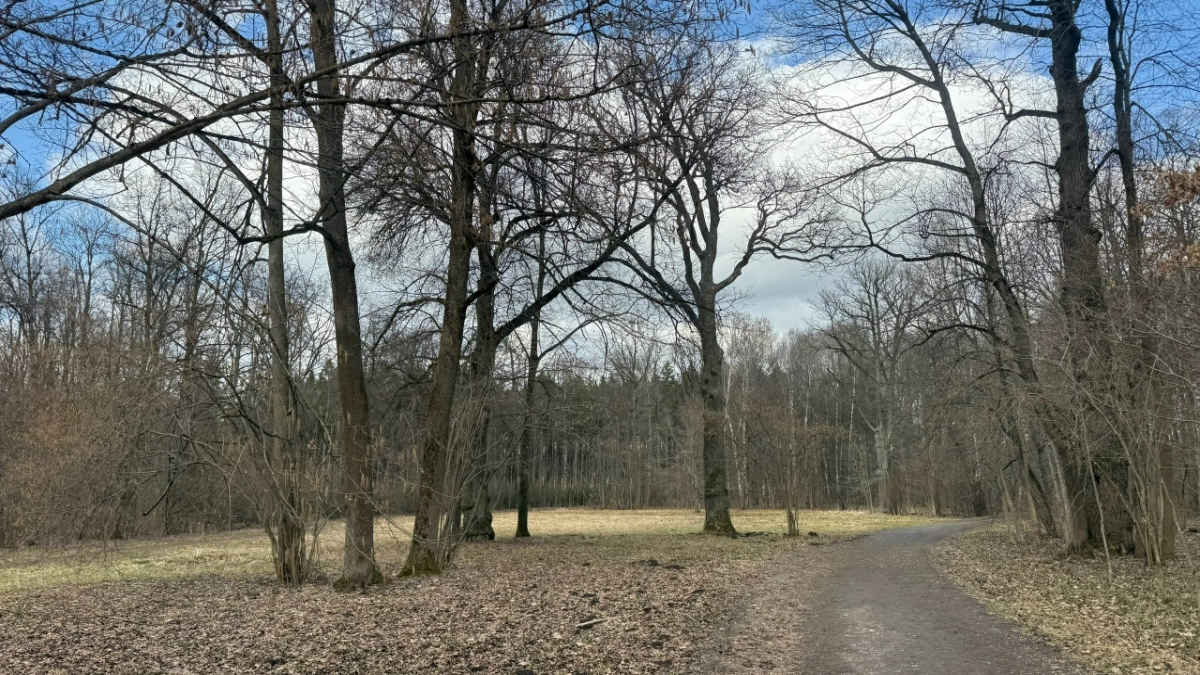В лесах Пензенской области начался пожароопасный сезон