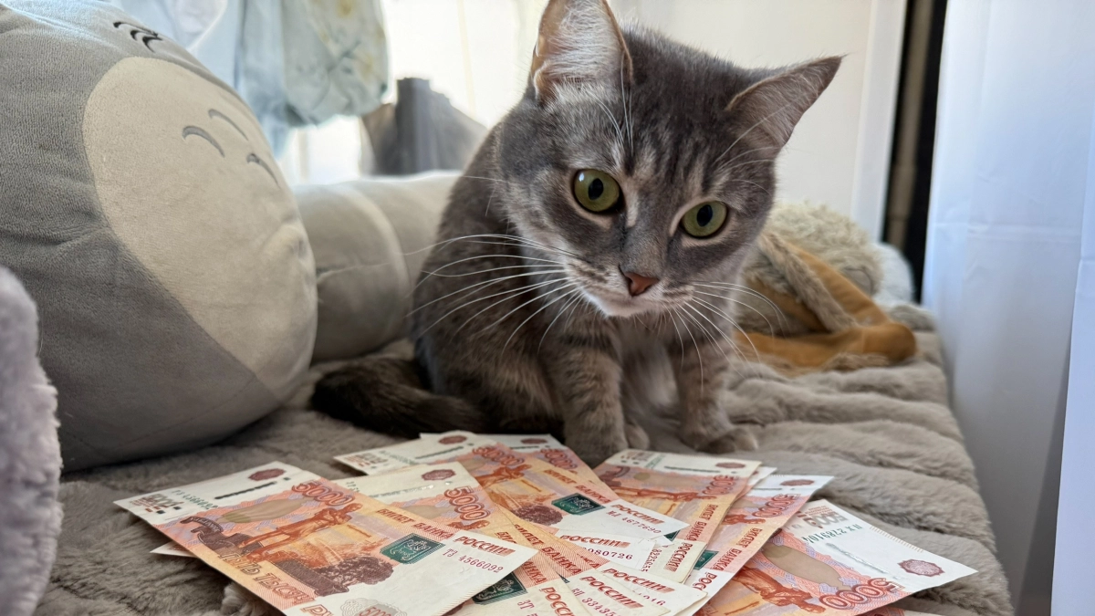 Стало известно, насколько меньше горожан зарабатывают жители пензенской глубинки