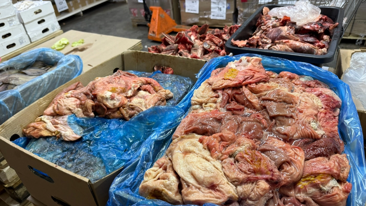 Пензенское мясо стало причиной закрытия нескольких десятков детсадов Санкт-Петербурга