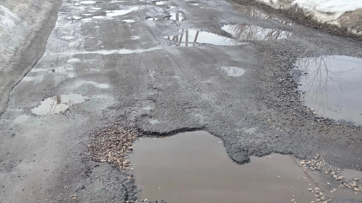 Жители Кривозерья жалуются на подтопление участков каждой весной