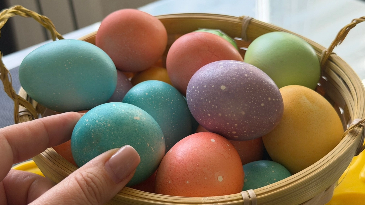 Чтобы пасхальные яйца не пропали: как хранить их правильно и сколько они реально лежат