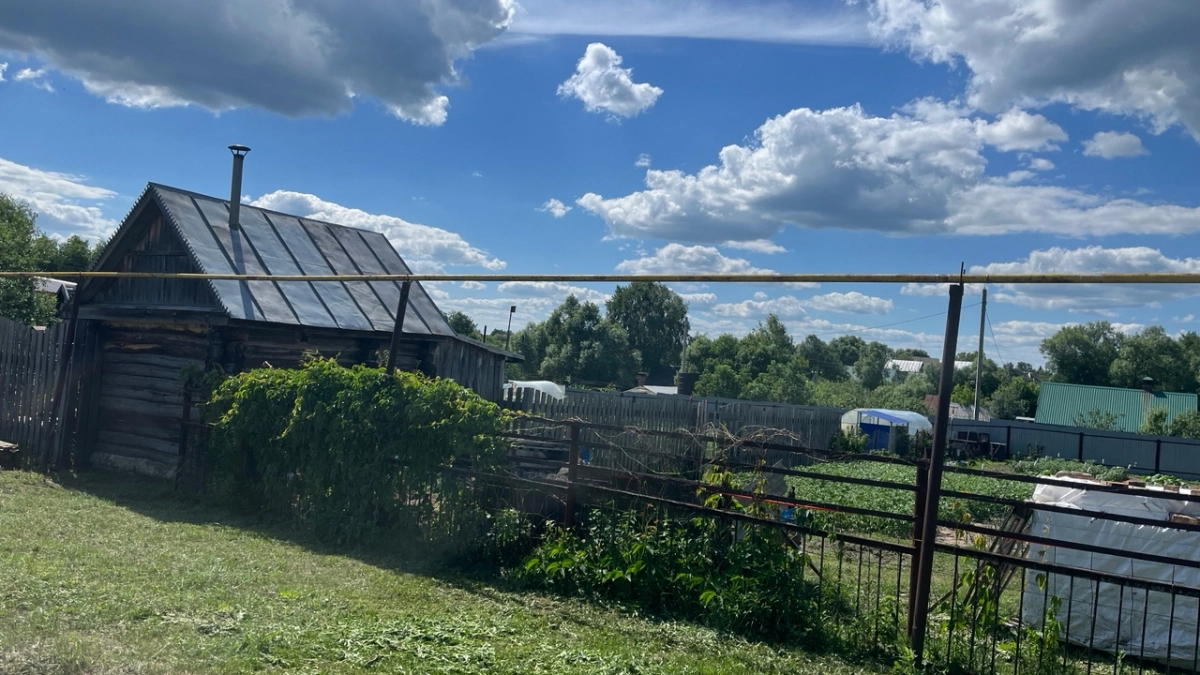 За выращивание шалфея, мимозы и клёна на даче грозит штраф в 300 тыс. рублей