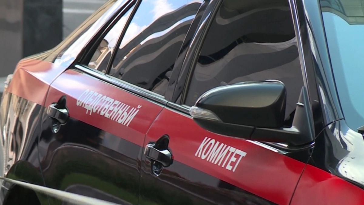 Бастрыкин взял на контроль проверку по факту инцидента с мигрантом в пензенском фастфуде