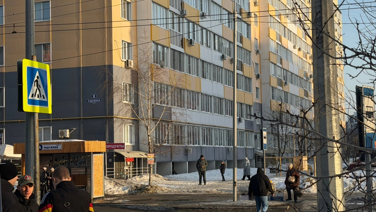 Областной центр украсят "Пензяки-добряки"