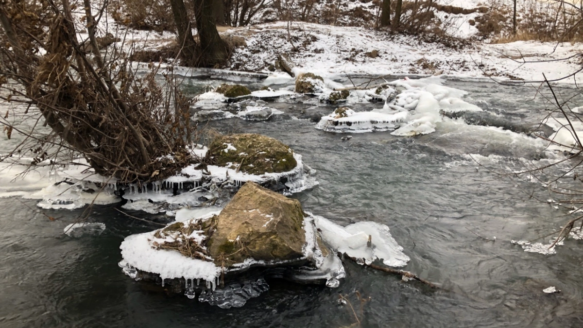 Пенза готовится к купальному сезону: на городских водоёмах развернут 10 спасательных постов