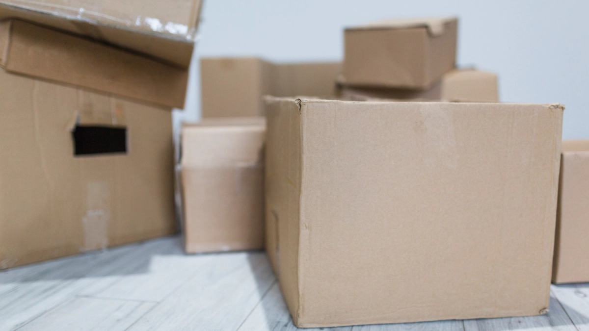 В апреле картон из магазинов тащу мешками — не нарадуюсь своей хитрой придумке: шикарный лайфхак для дачников 