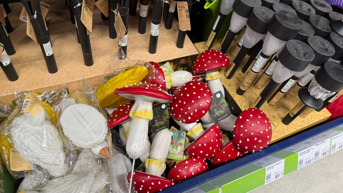 Пошла в Фикс Прайс прицениться: ушла с 3 пакетами покупок для дачи и сада - завоз удивил даже бывалого покупателя