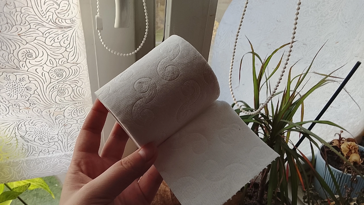 Туалетная бумага оказалась рабочим средством от тараканов: сначала не верили, потом повторили - "стасики" исчезли за одну ночь