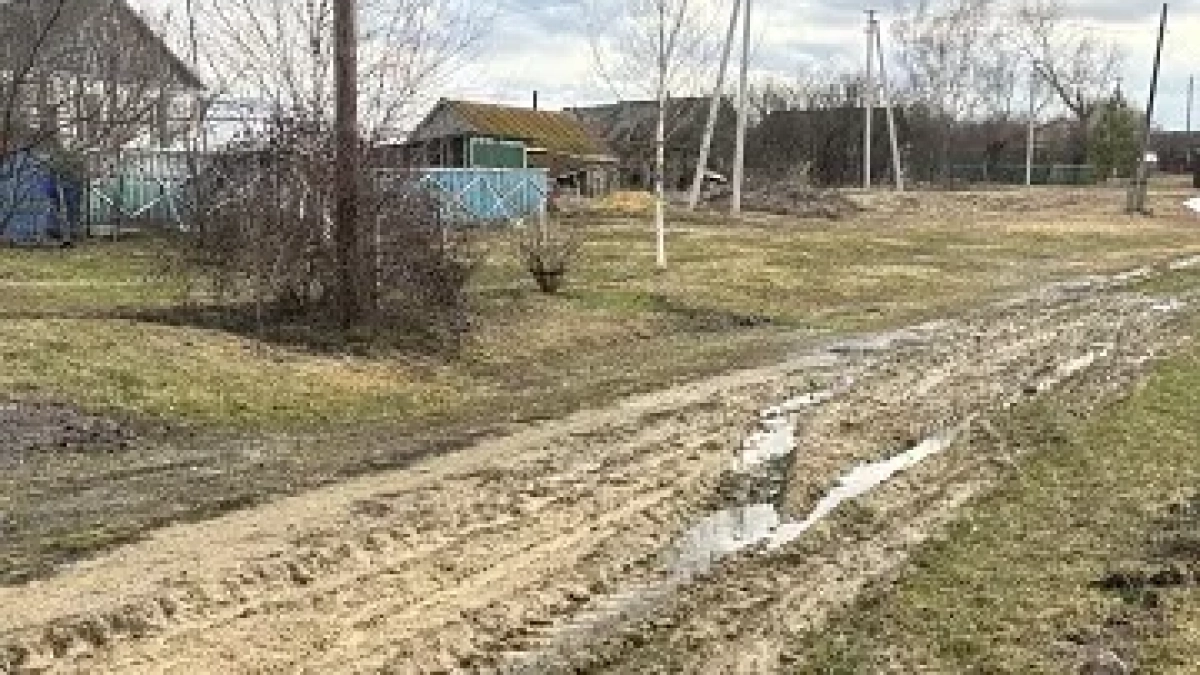 Жителям села Абашево просят отремонтировать многострадальную дорогу на ул. Центральной