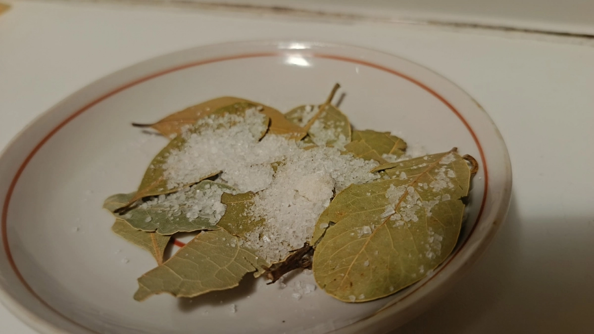 Лавровый лист засыпаю солью — всю весну не нарадуюсь своей хитрой придумке: мудрый совет для всех домохозяек