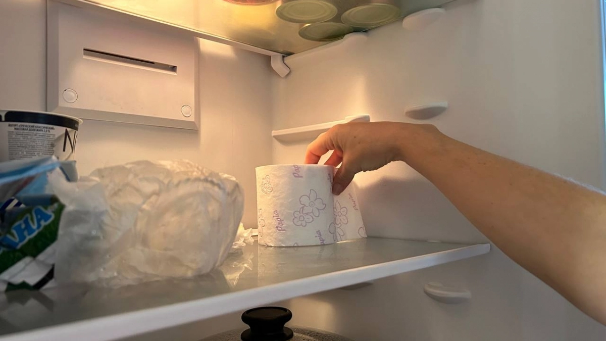 Кладу туалетную бумагу в холодильник и радуюсь результату. Зачем так делаю - лайфхак хозяек из Германии 