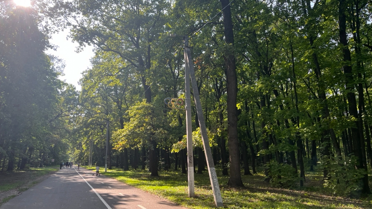 За неделю клещи покусали 49 жителей области 