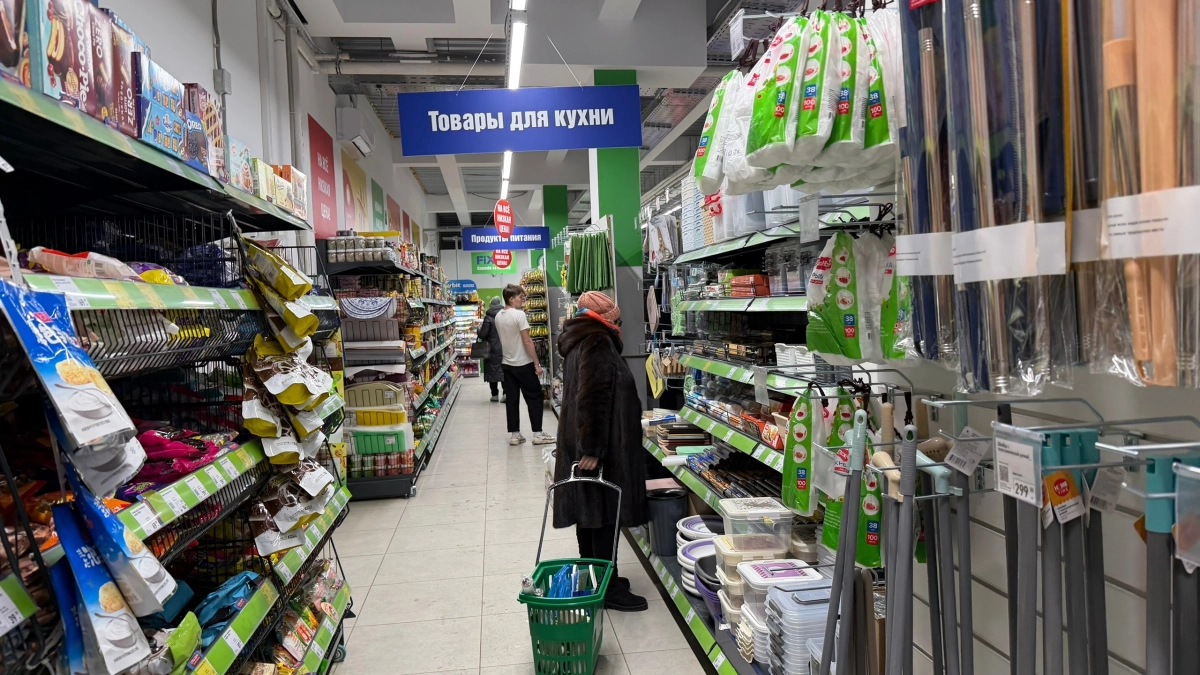 Если и сажать лук — то только в такой парничок: мой огородик на подоконнике из Фикс Прайс