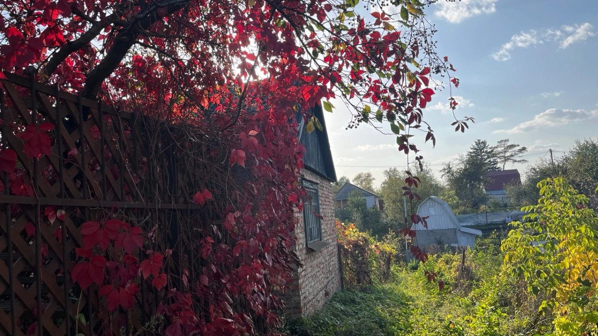 В Пензе официально начался дачный сезон: список маршрутов 