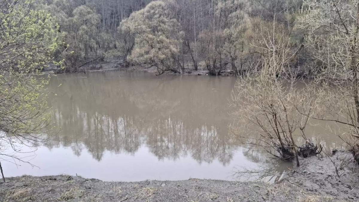 В реке Атмис спасатели нашли тело мужчины 