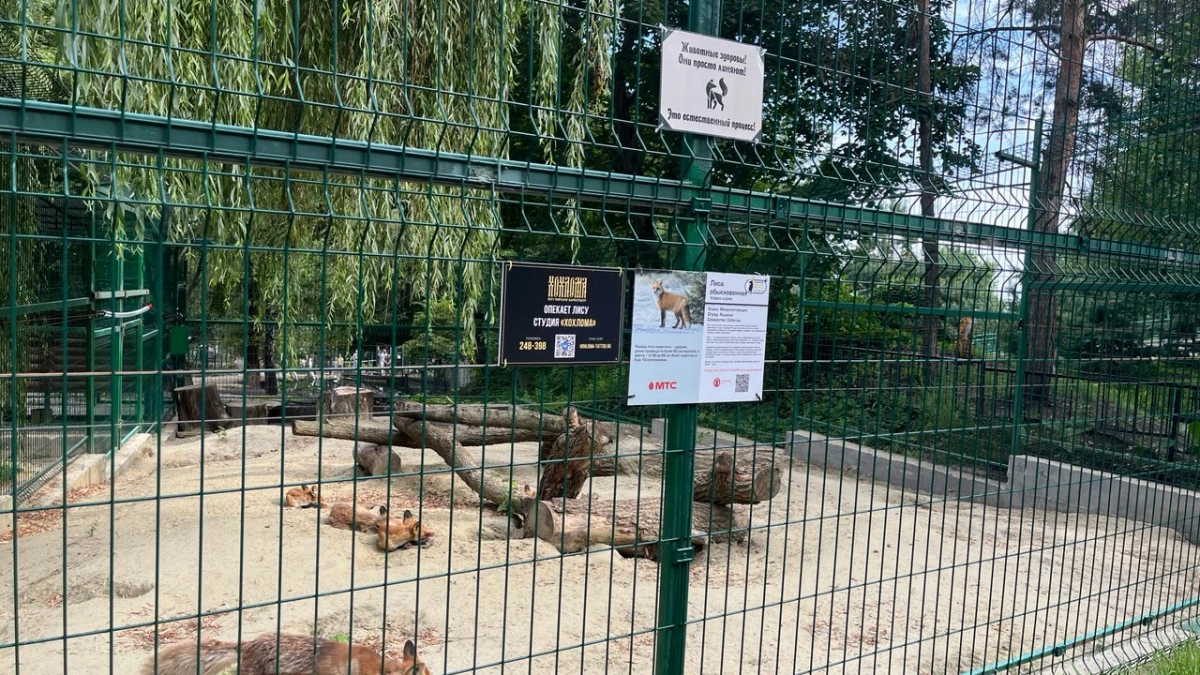 Пензенский зоопарк сменил график работы 