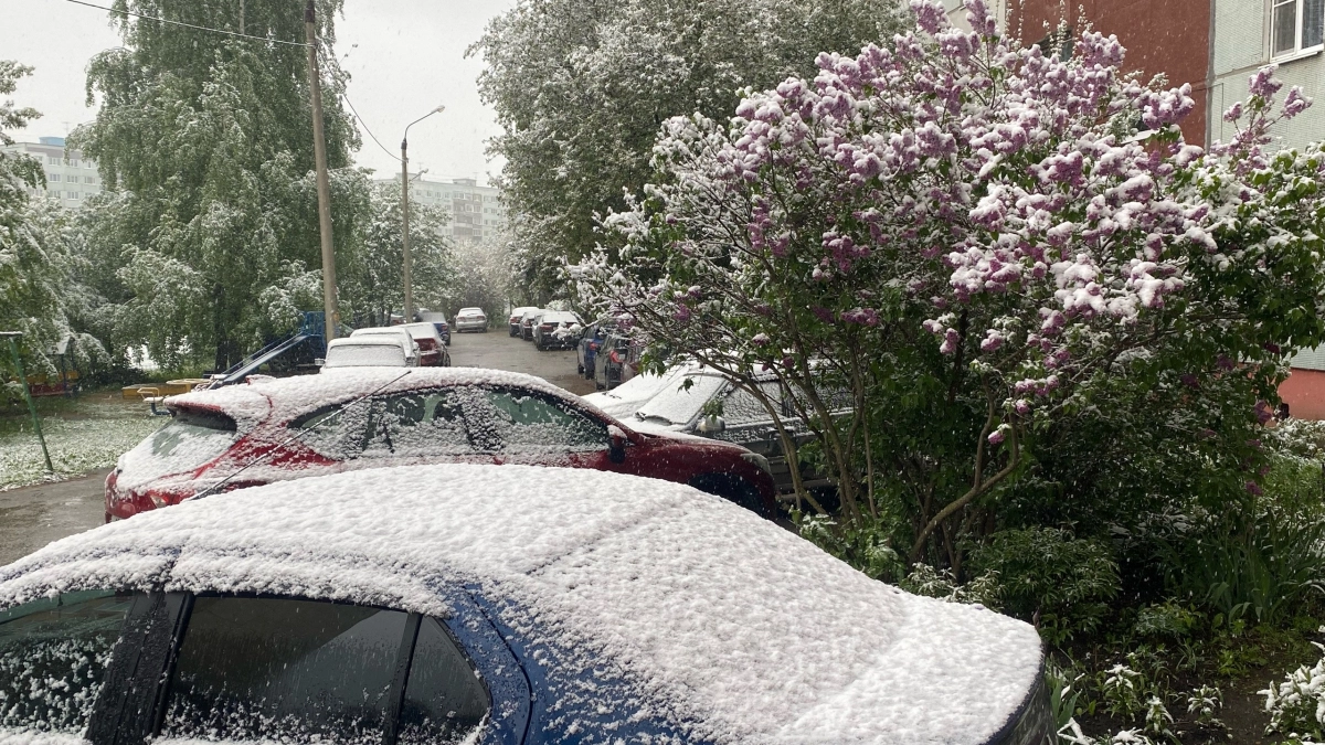 Снег, гололедица и ледяные дожди: синоптик предупредил о возвращении зимы в конце апреля 