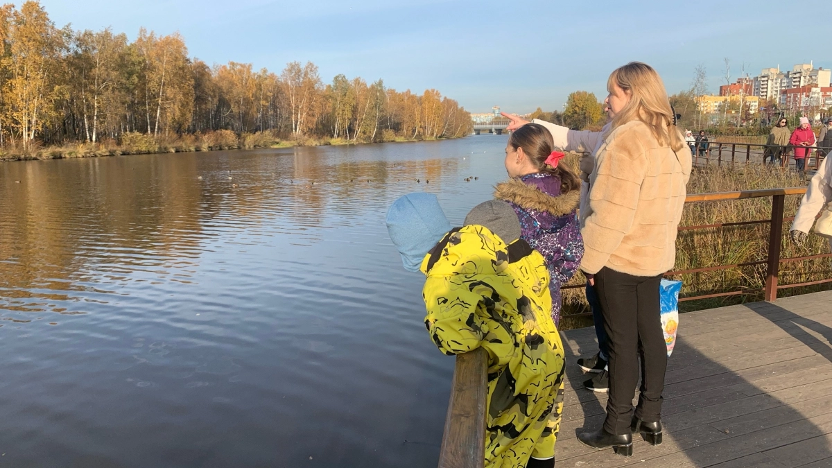 В области началось голосование за благоустройство общественной территории в 2027 году