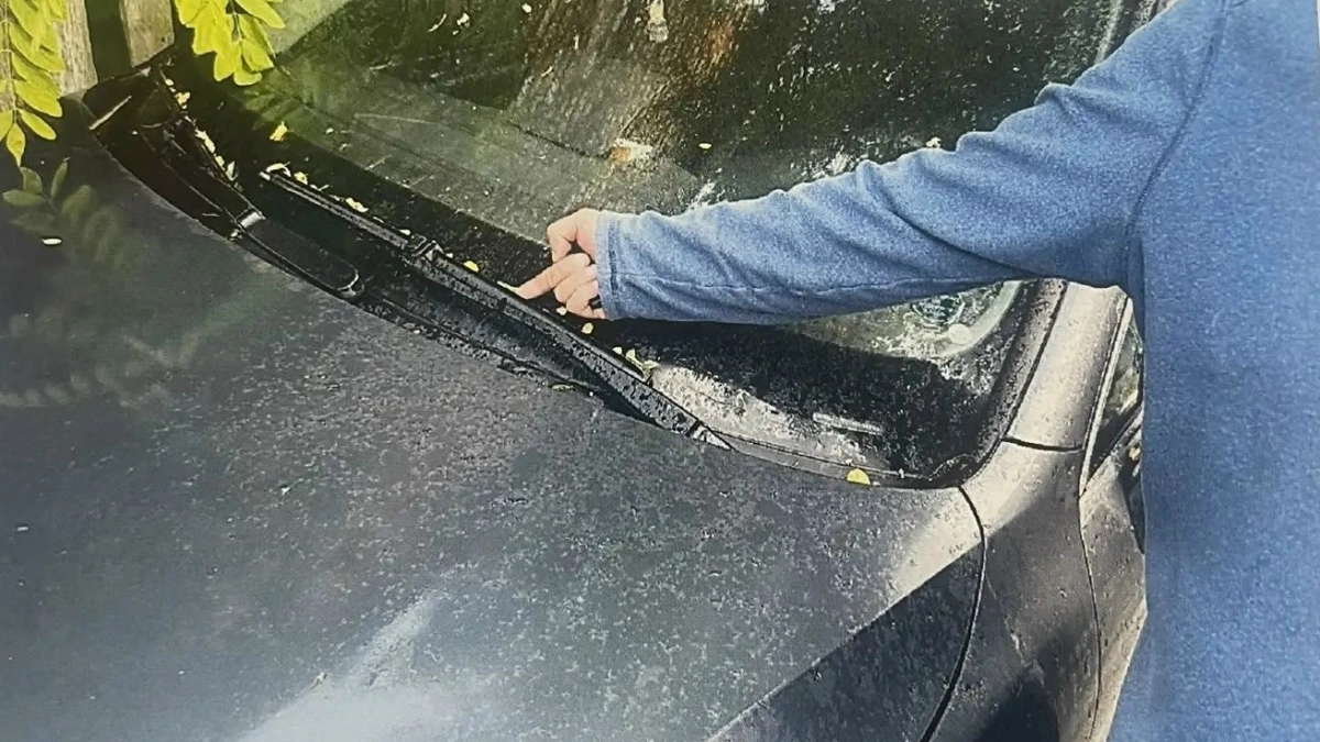 Пензенец получил четыре года строгого режима за попытку подбросить наркотики бизнес-конкуренту