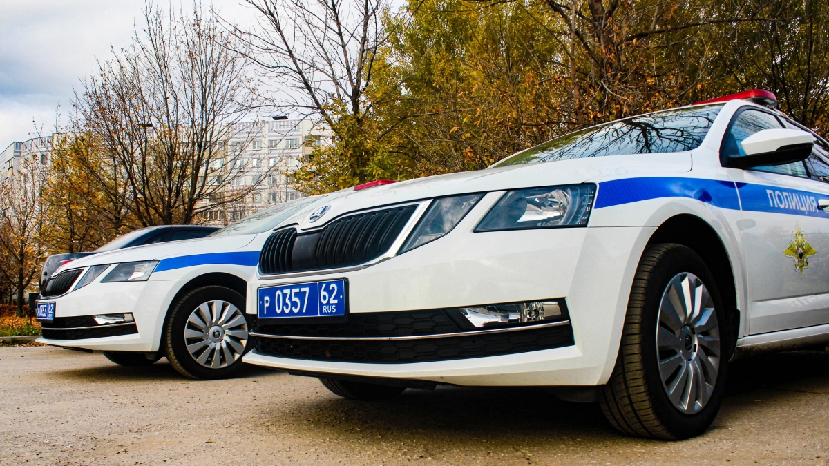 Росгвардейцы пресекли назревающую драку в пензенском баре: задержан агрессивный посетитель