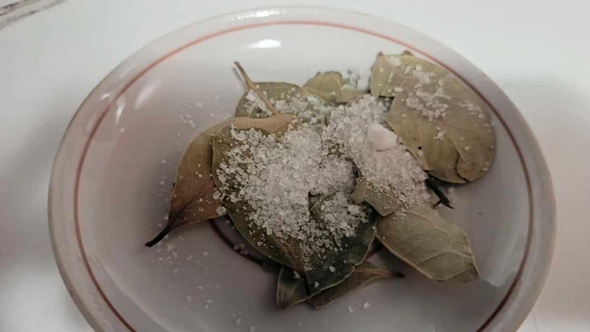 Лавровый лист посыпаю солью — и всю весну не нарадуюсь своей хитрой придумки: полезный лайфхак для умных хозяек