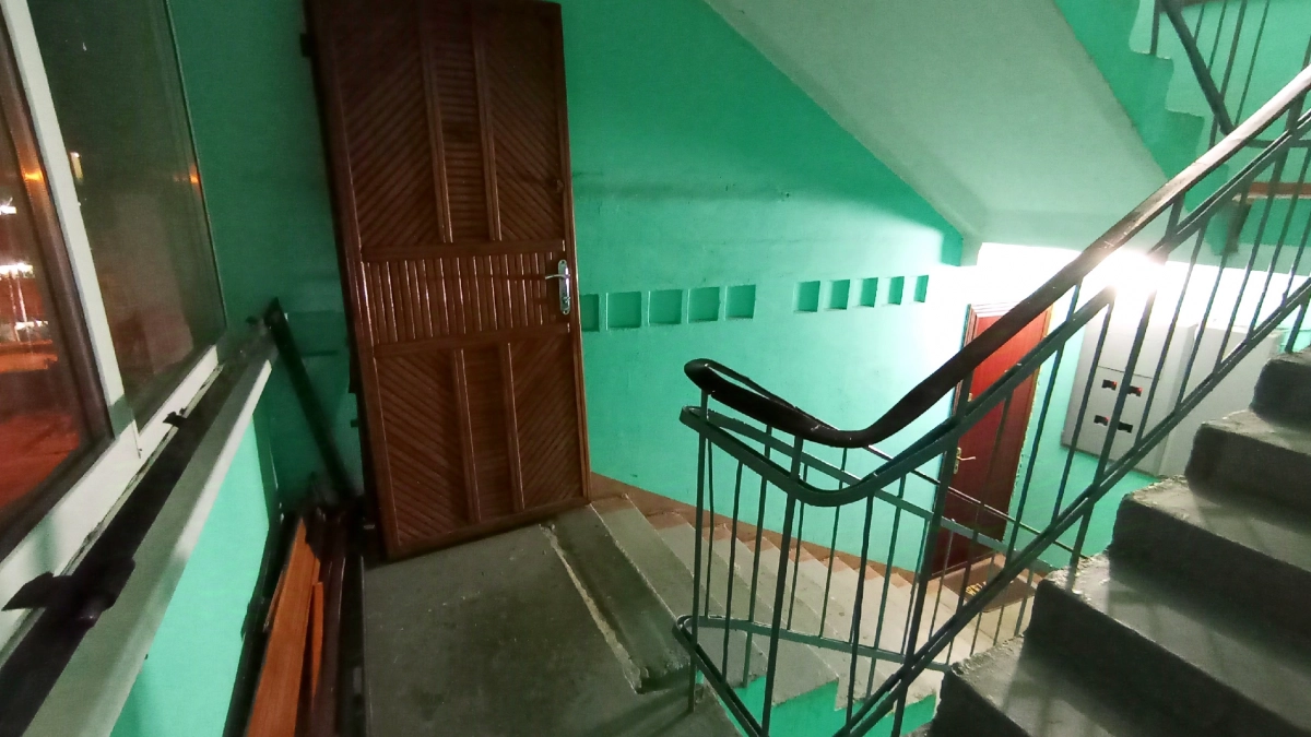 Житель Пензы вынужденно обратился в суд, устав более двух лет слушать лай соседских собак 