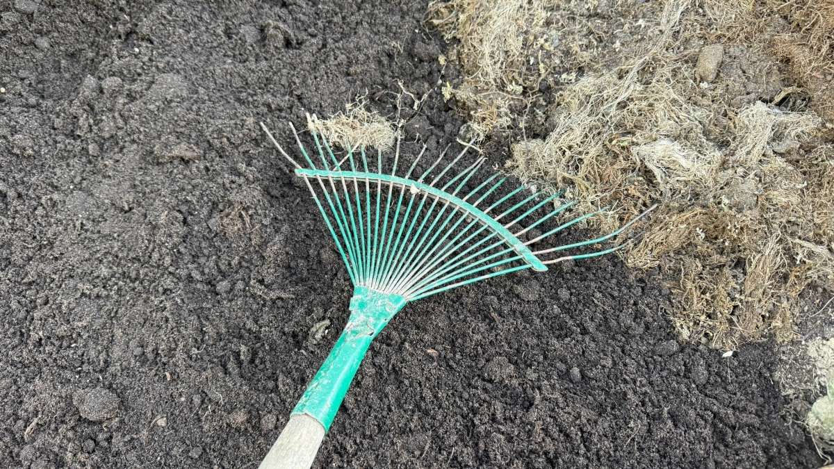 Пачка порошка вместо тонны навоза: как превратить грядку в рыхлый чернозем без возни и трат 